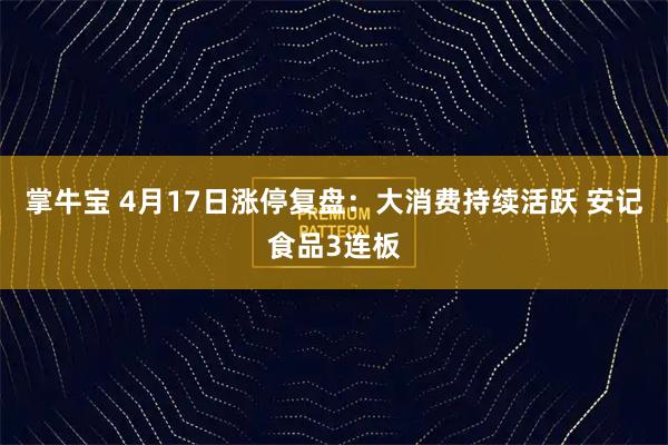 掌牛宝 4月17日涨停复盘：大消费持续活跃 安记食品3连板