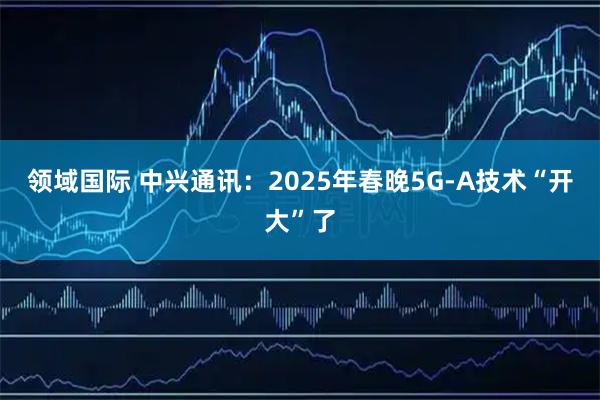 领域国际 中兴通讯：2025年春晚5G-A技术“开大”了
