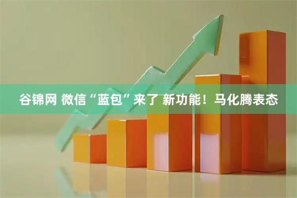 谷锦网 微信“蓝包”来了 新功能！马化腾表态