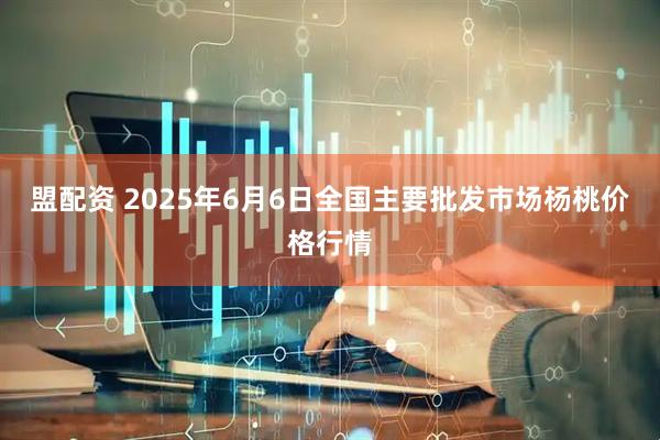 盟配资 2025年6月6日全国主要批发市场杨桃价格行情