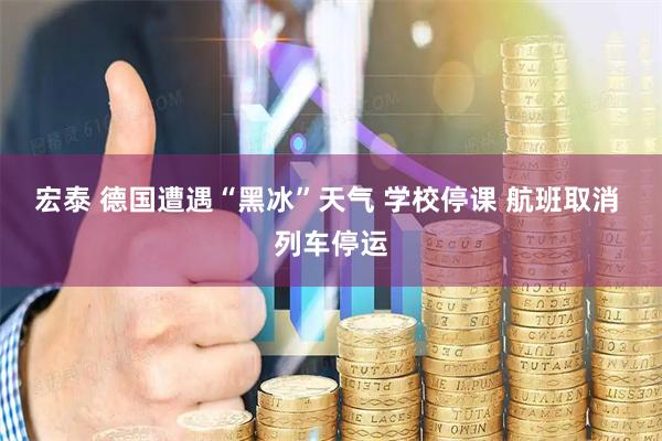 宏泰 德国遭遇“黑冰”天气 学校停课 航班取消 列车停运