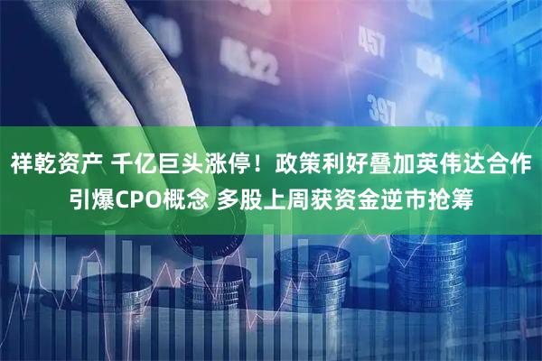 祥乾资产 千亿巨头涨停！政策利好叠加英伟达合作引爆CPO概念 多股上周获资金逆市抢筹