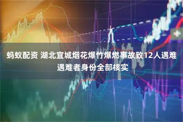 蚂蚁配资 湖北宜城烟花爆竹爆燃事故致12人遇难 遇难者身份全部核实