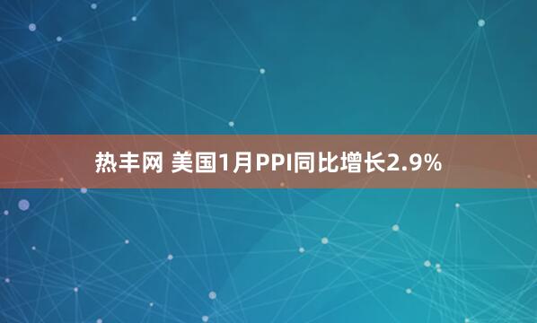 热丰网 美国1月PPI同比增长2.9%