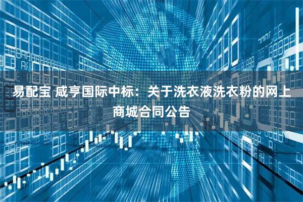 易配宝 咸亨国际中标:关于洗衣液洗衣粉的网上商城合同公告